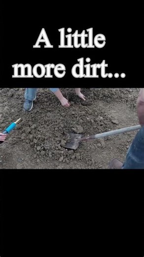 Planting the Last Plum Tree 🌳🍑 | Food Forest Progress