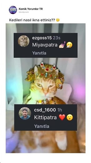 Kediler nasıl ikna oluyor ya?