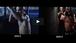 Understanding In Camera Color To Drive Story. Canon DTS (2011)