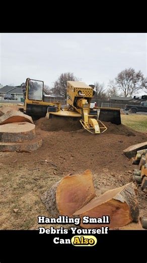 What is the average cost of tree Cutting in Walla Walla, WA?