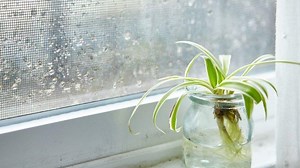 Perbedaan Katabolisme dan Anabolisme Dilengkapi Pengertiannya, Simak Penjelasan Berikut Ini - Tribunnews.com