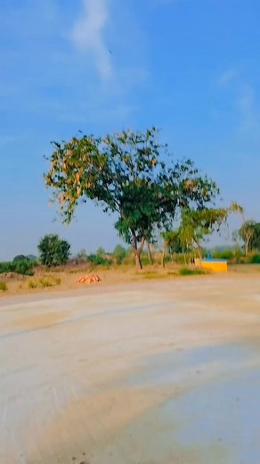 Cooler kurti me Laga la Kajal raghwani #trending #trend #instagramreel #reelsinstagram #viral#shorts | Dhiraj Dancer