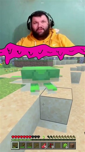 Turtles!!! #minecraft #gaming #ausofwizard