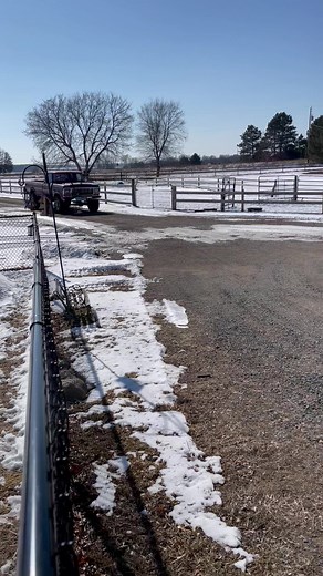 My truck started right up on the first try after sitting since Fall 💕 We’ve got the first one on the list coming this afternoon. Priced the same for everyone. If he doesn’t snap this beast up , I’ll move on to who messaged me next. Thanks for your interest- Mrs Dabe 😁 | Jeff Dabe - Minnesota arm wrestler