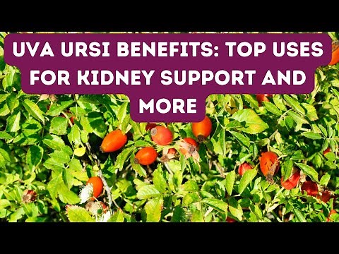 INCREDIBLE HEALTH BENEFITS OF UVA URSI