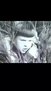 66K views · 2.6K reactions | Awesome toys from the 60s | Historical Pictures | Facebook