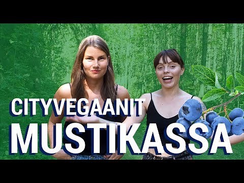 VEGAANINEN MUSTIKKAPIIRAKKA – Helppo ja herkullinen resepti !