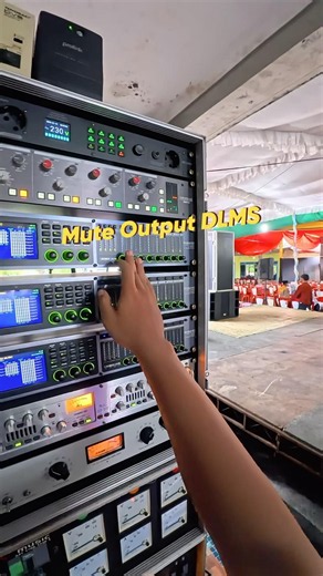 Mute Output DLMS