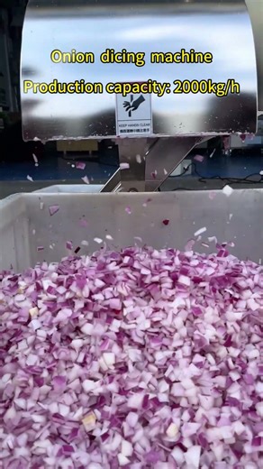 Onion dicing machine Fruit dicing machine Vegetable and fruit dicing machine