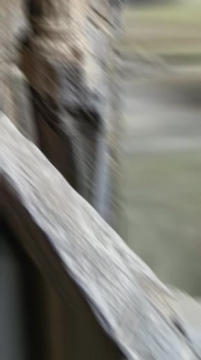 4.9K views · 120 reactions | The Ajanta Caves in Maharashtra, India, comprise 30 rock-cut monuments adorned with exquisite murals and sculptures. These ancient masterpieces reflect artistic evolution, religious devotion, and cultural harmony during a pivotal era of Indian history. | Alien Footprints in History | Facebook