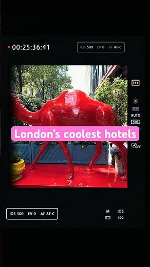Inside one of London’s most stylish hotels. Would you stay here? #london #travel #luxury