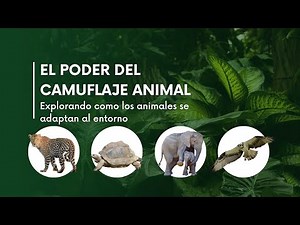 ¿Cómo se Adaptan los Animales a su Entorno? Estrategias de Supervivencia en la Naturaleza