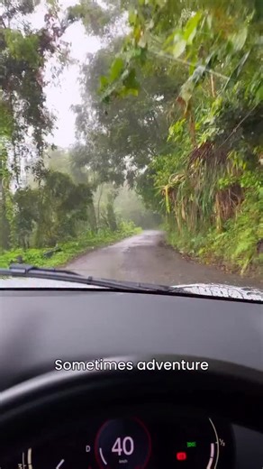 The TALLEST waterfall in Jamaica 🇯🇲 at 291 ft @nonsuchfalls is Taller than the Niagara Falls. Did you know Jamaica had a waterfall so tall & it’s located in Portland ? 📍Nonsuch Falls, Nonsuch, Portland, Jamaica [ 🎥 @_theoneil ] | Portland Jamaica