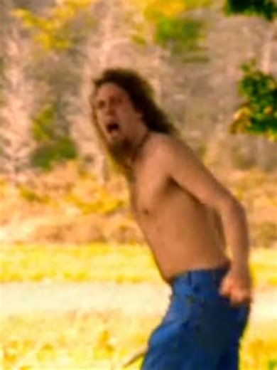 Digital Bees: A Dive into 2000s Nostalgia