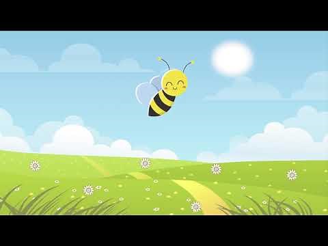 EL COLOR AMARILLO - Canción y ejemplos de los colores para niños