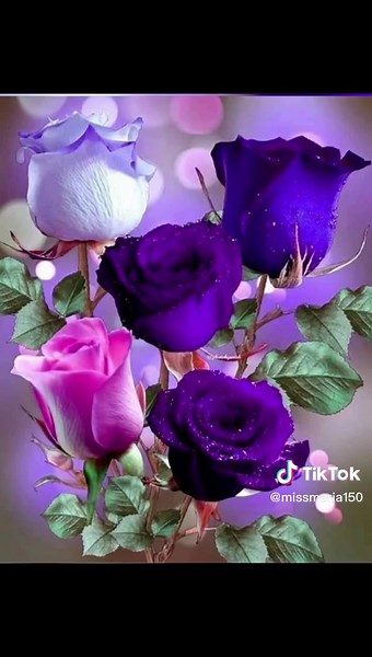 missmaria150 on TikTok