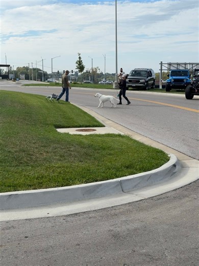 16K views · 91 reactions | Robot dog vs regular dog | Jay Aresix | Facebook