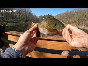 Setting up PLUSINNO Telescopic Fishing Rod and Reel Combo and Catching Fish