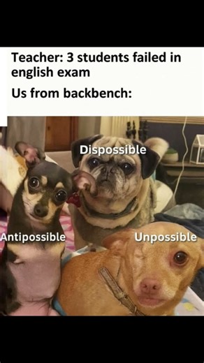 English ki padhai kar rahe hai 😁