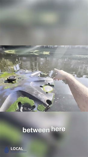 What Is A Pond Fountain? Explained #shorts