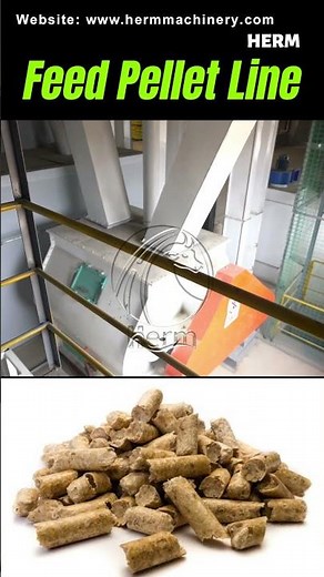 Turnkey 8-12T/H Complete Animal Feed Making Machine in Ethiopia #feedmill #feedpelletmills