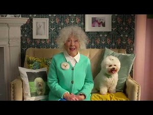 Lebara Switch & Save | Video Ads 2022 | Lebara UK