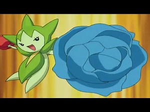 Beautiful Fight With Roselia Pokemon