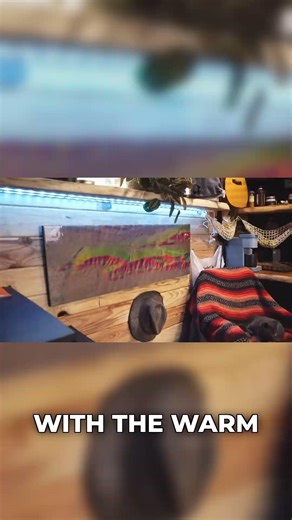 Home Tour: Inside My Off-Grid Shipping Container