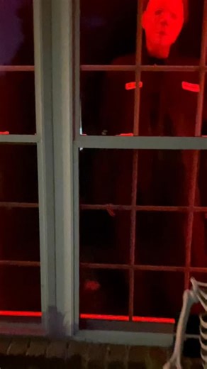 Will stalk you harder than Micheal Myers.🔪 🎃 Eddy The Pug on Tik Tok | SpeakPug