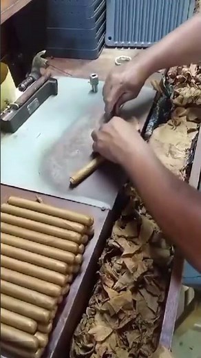 “Crafting the Perfect Connecticut Cigar | From Leaf to Luxury”. #premiumcigars #handmadecigars