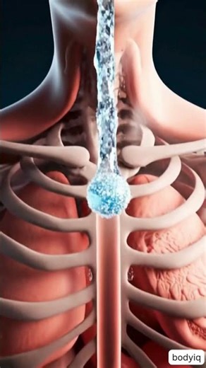 What Happens When Soda Enters Your Body (ASMR)