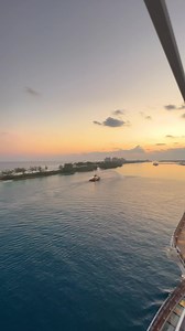 11K views · 461 reactions | FINALLY  #FirstDayofSummer #MSCCruises | MSC Cruises | Facebook