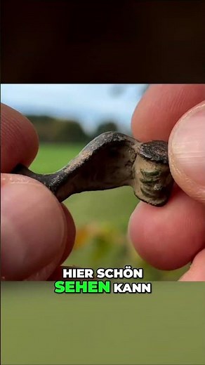 FIBEL!! 🤩 #sondeln #metaldetecting #lechsonde