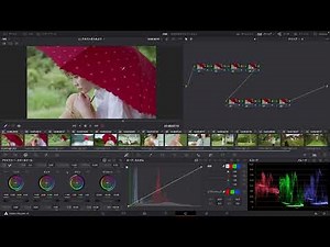 カラー作業のワークフローを理解しよう -『DaVinci Resolve よくばり入門 18対応』解説動画
