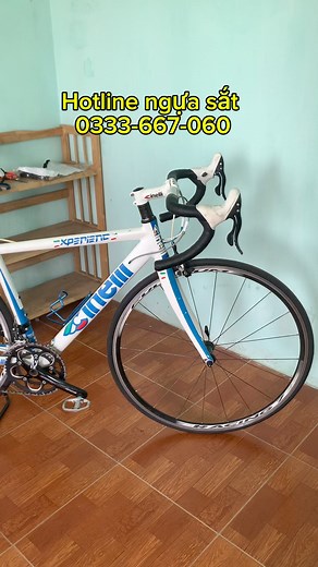 Cinelli Experience của Ý | NGỰA SẮT - Xe đạp xách tay Nhật cao cấp