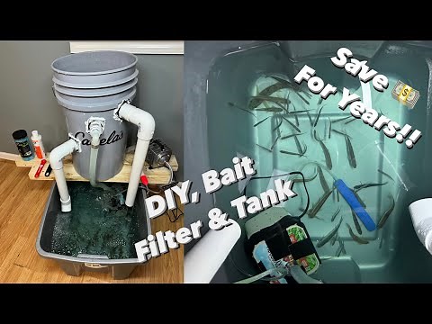 DIY, Minnow Filter and Tank. Keep Them ALIVE For Weeks!