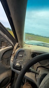 Yipping & Yapping | Will Meadows