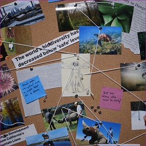 307K views · 199 reactions | Earth is undergoing a mass extinction — and that's bad for everyone. | Verge Science | Facebook