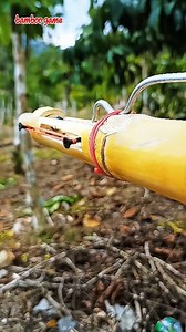 7.1K views · 23 shares | Bamboo game to eradicate pests of cocoa plants  #bamboo #Handycrafts #Arrow #slingshot #short #craft #Art #toys #creative #Game #Tutorial #tips #Bamboocrafts #monetization #shots #reels #Tricks #diy #Traditional #rootbeer #trending #activity #speargun #recipe #localcommunity | Yudi Purnomo | Facebook