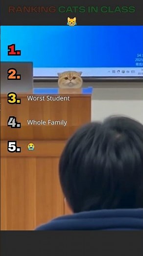 Cats in Class 😹📚 | Funniest Classroom Cat Moments (RANKED)