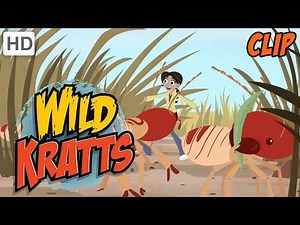 Wild Kratts - Carried Away by Termites