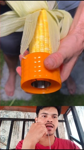 मक्के के दाने को निकालने का देशी जुगाड़ 👍👍 | Irfan Kvideo