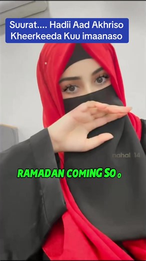 The Importance of Reading: A Key to Wisdom