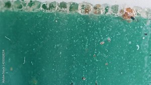 ART | Premium Quality | Dirty Water Bubbles background in 4k Quality
