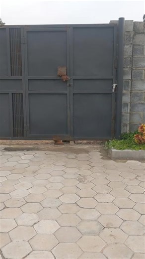 REAL ZEE COMEDY (@real.zee.comedy)’s videos with original sound - REAL ZEE COMEDY