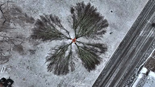 Stills: Collapsed trees as winter storm blankets Tennessee