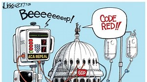 Editorial Cartoons: July 30, 2017