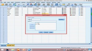 5数据整理transform[SPSS]