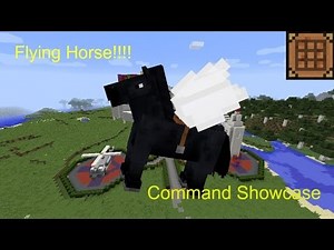 Flying Horses!!??!! | Flying horse command | command showcase