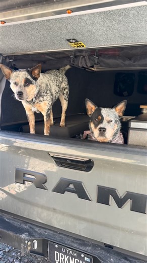 19K views · 695 reactions | Whether we’re road-tripping or camping...